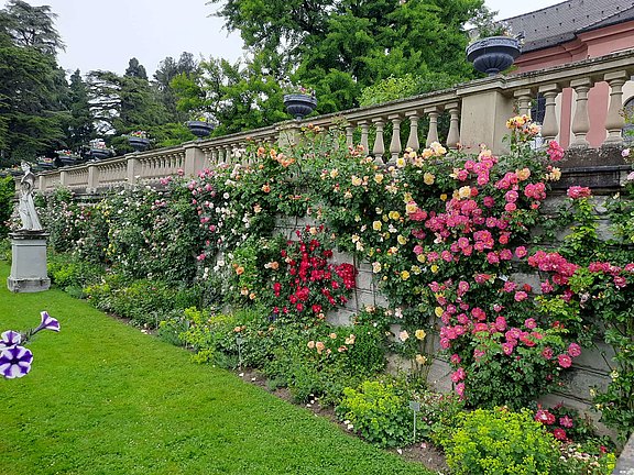 Insel Mainau