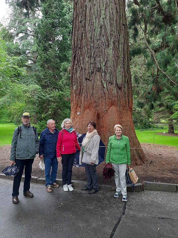 Insel Mainau