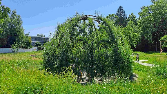 20250612_131007x.jpg