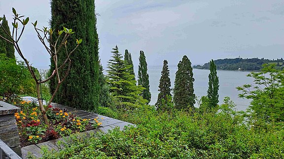 Insel Mainau